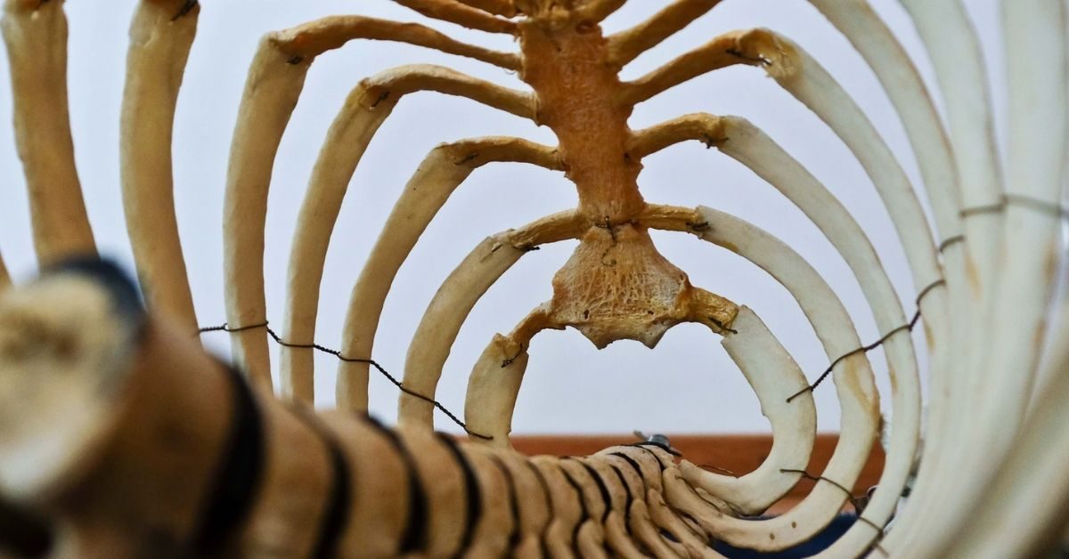 2-when-should-i-replace-my-mattress-spine-7048455